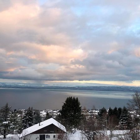 Les Vies En Rose Apartment Evian-les-Bains Luaran gambar