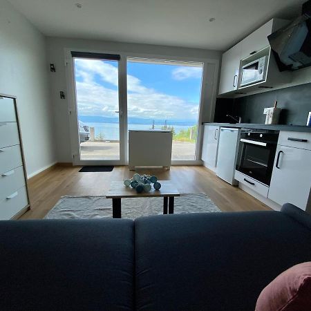 Les Vies En Rose Apartment Evian-les-Bains Luaran gambar