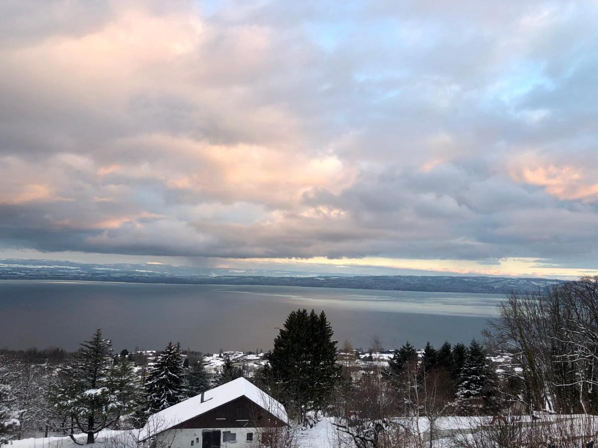 Les Vies En Rose Apartment Evian-les-Bains Luaran gambar
