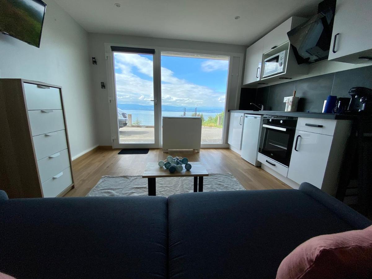 Les Vies En Rose Apartment Evian-les-Bains Luaran gambar