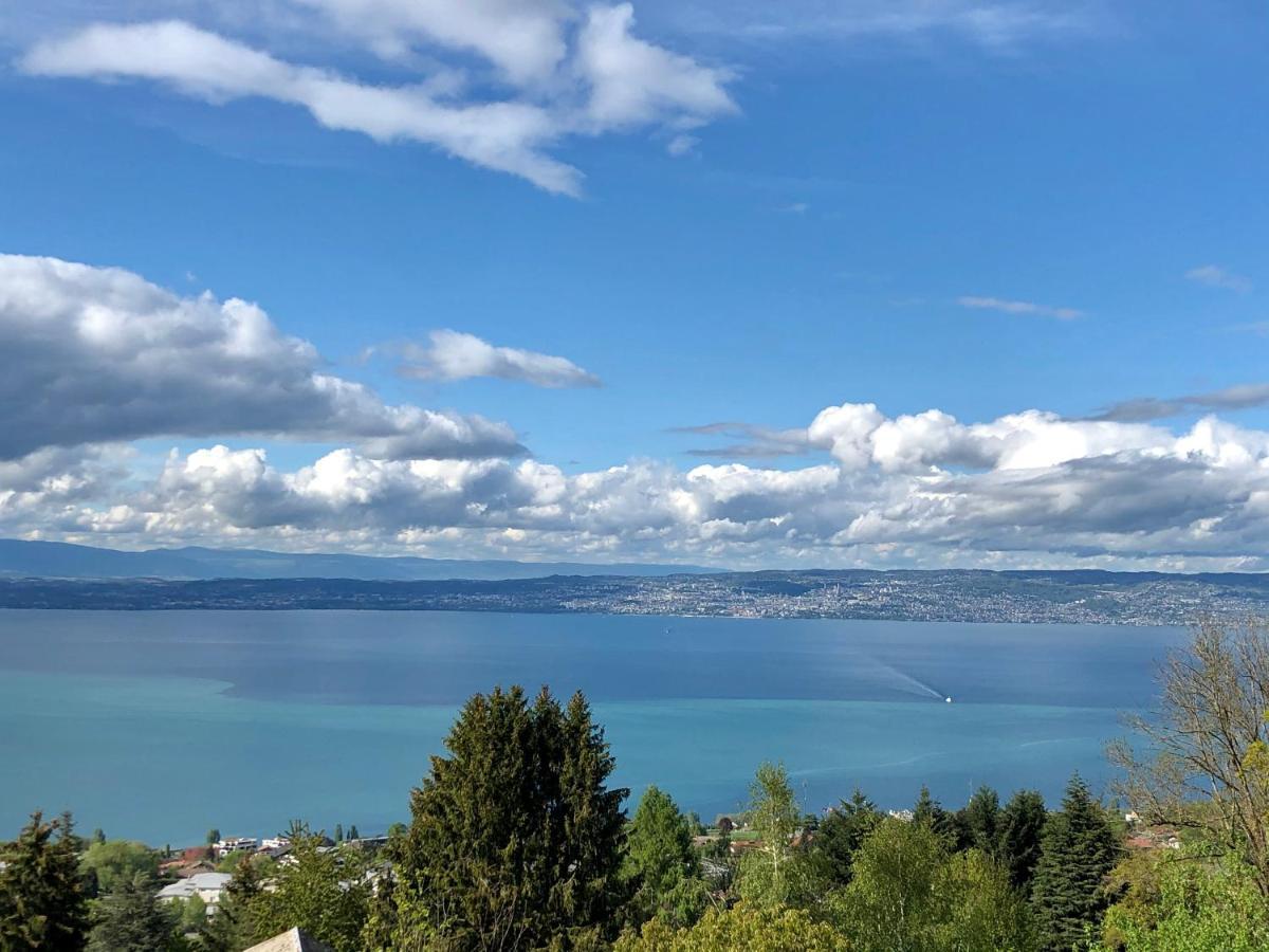 Les Vies En Rose Apartment Evian-les-Bains Luaran gambar