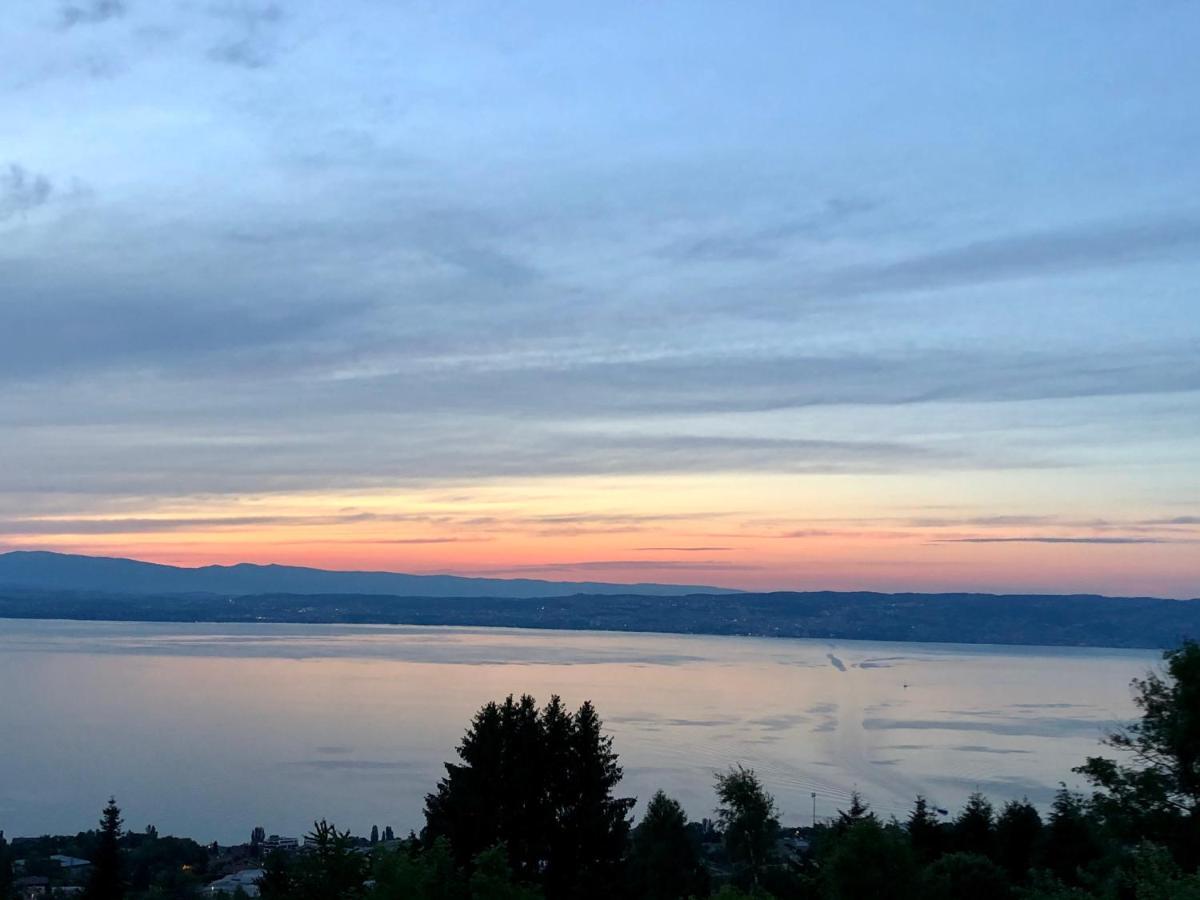 Les Vies En Rose Apartment Evian-les-Bains Luaran gambar